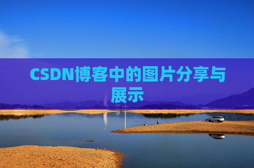 CSDN博客中的图片分享与展示